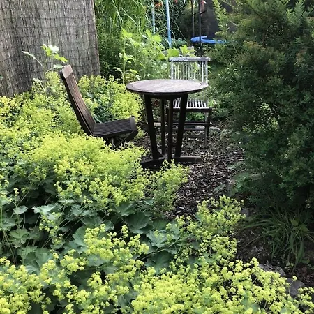 Schoene In Widukindland Mit Grill, Garten Und Terrasse Appartamento
