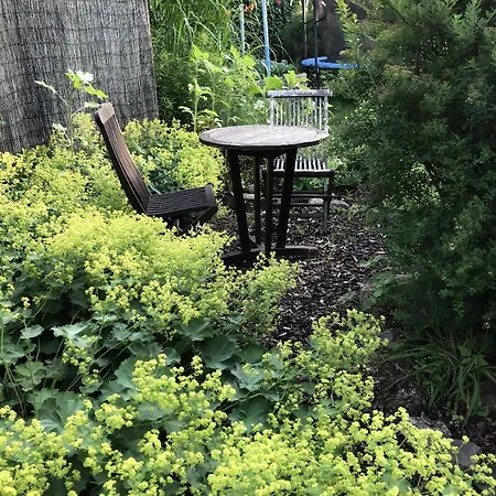 Schoene In Widukindland Mit Grill, Garten Und Terrasse