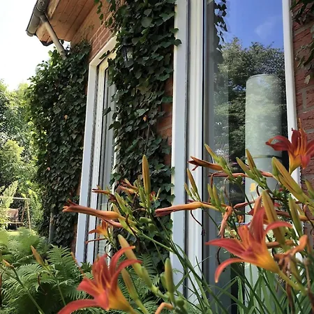 Schoene In Widukindland Mit Grill, Garten Und Terrasse Apartment Osnabrueck