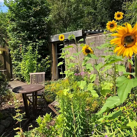 Schoene In Widukindland Mit Grill, Garten Und Terrasse Appartamento Osnabrück